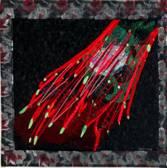 Art Under the Microscope Image